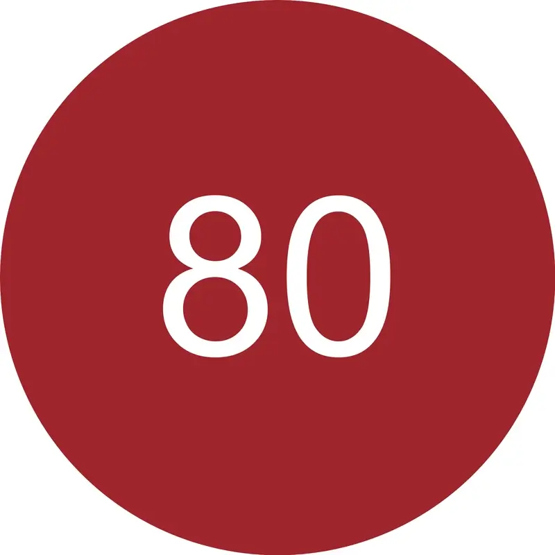 Miniatura 9