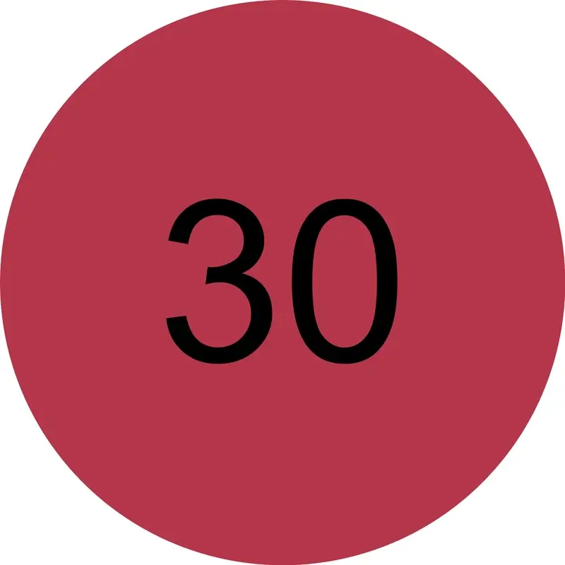 Miniatura 9