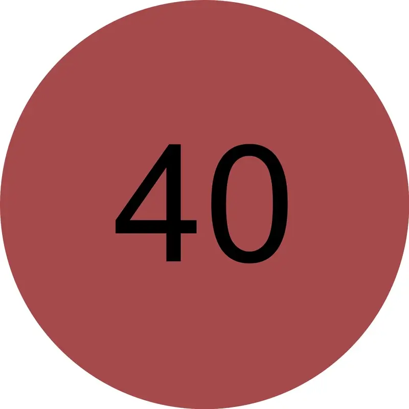 Miniatura 10