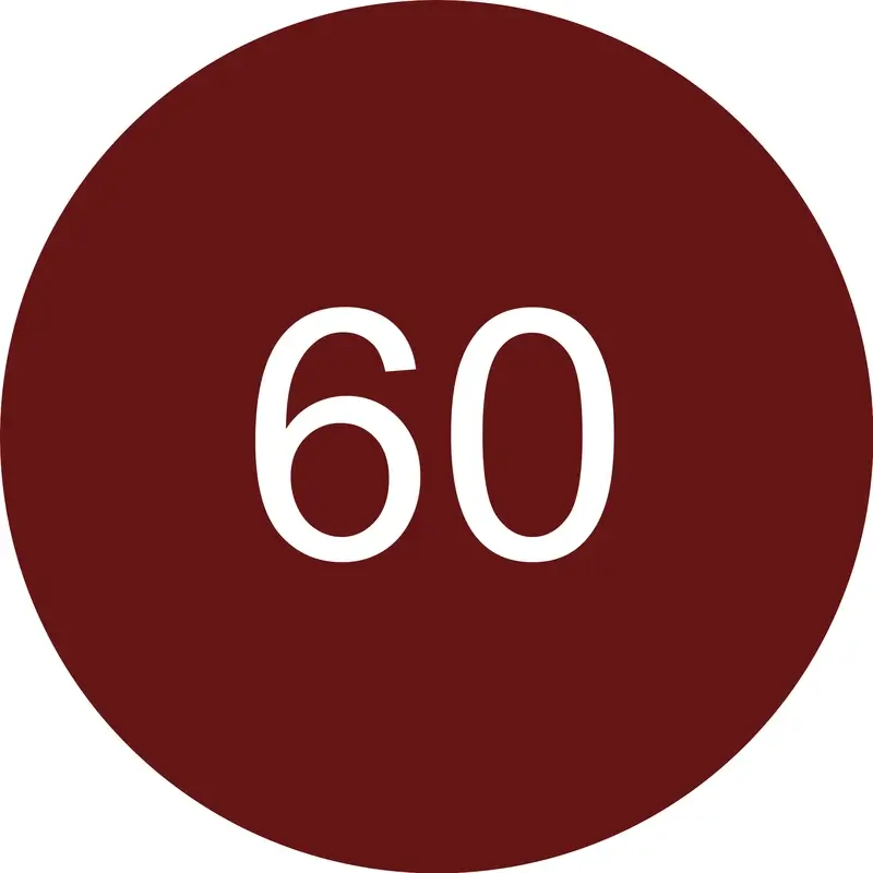 Miniatura 10