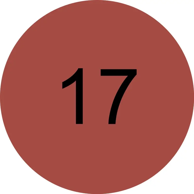 Miniatura 16
