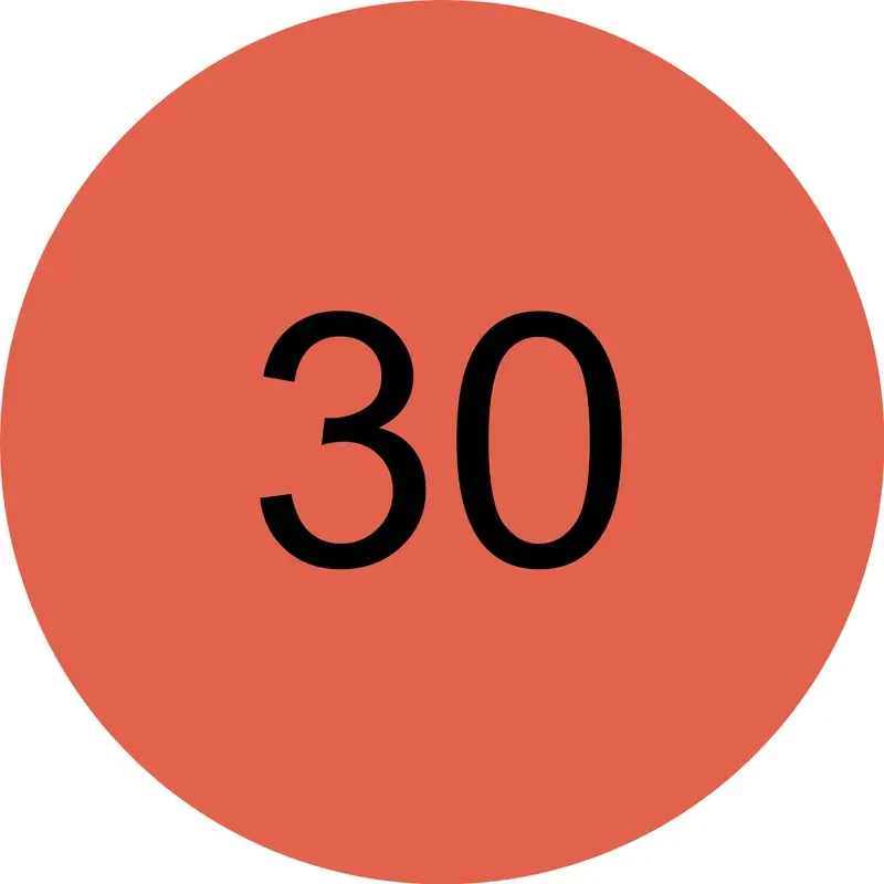 Miniatura 9