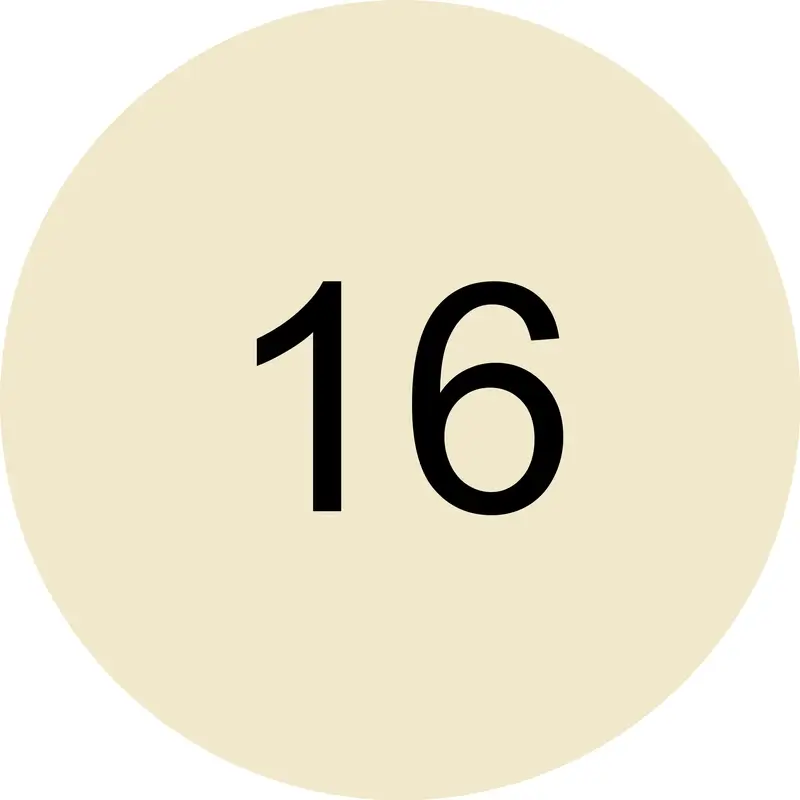 Miniatura 9