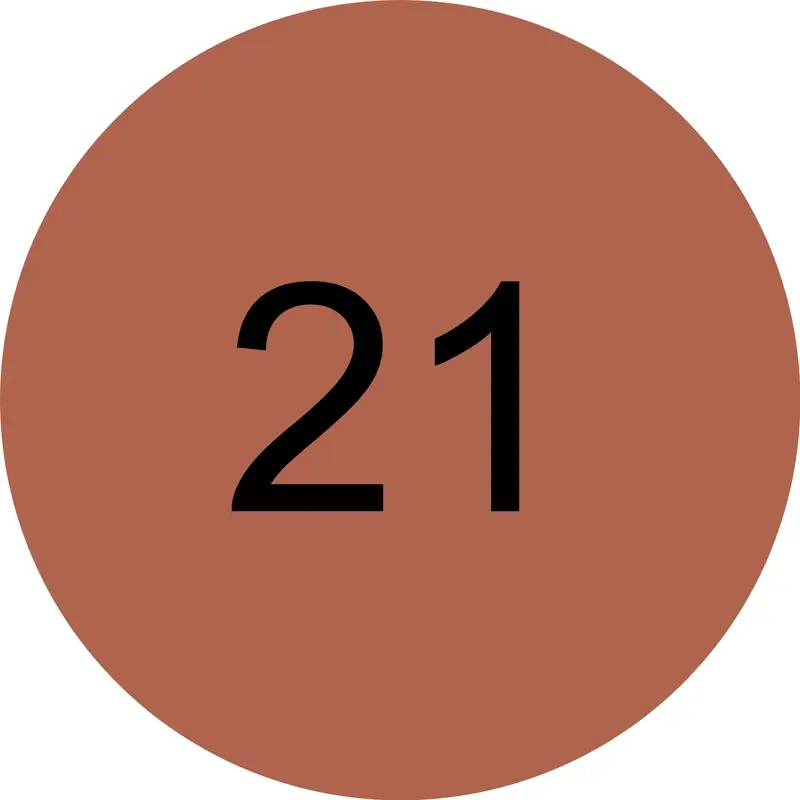 Miniatura 13