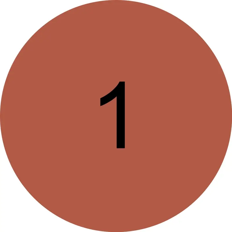 Miniatura 12